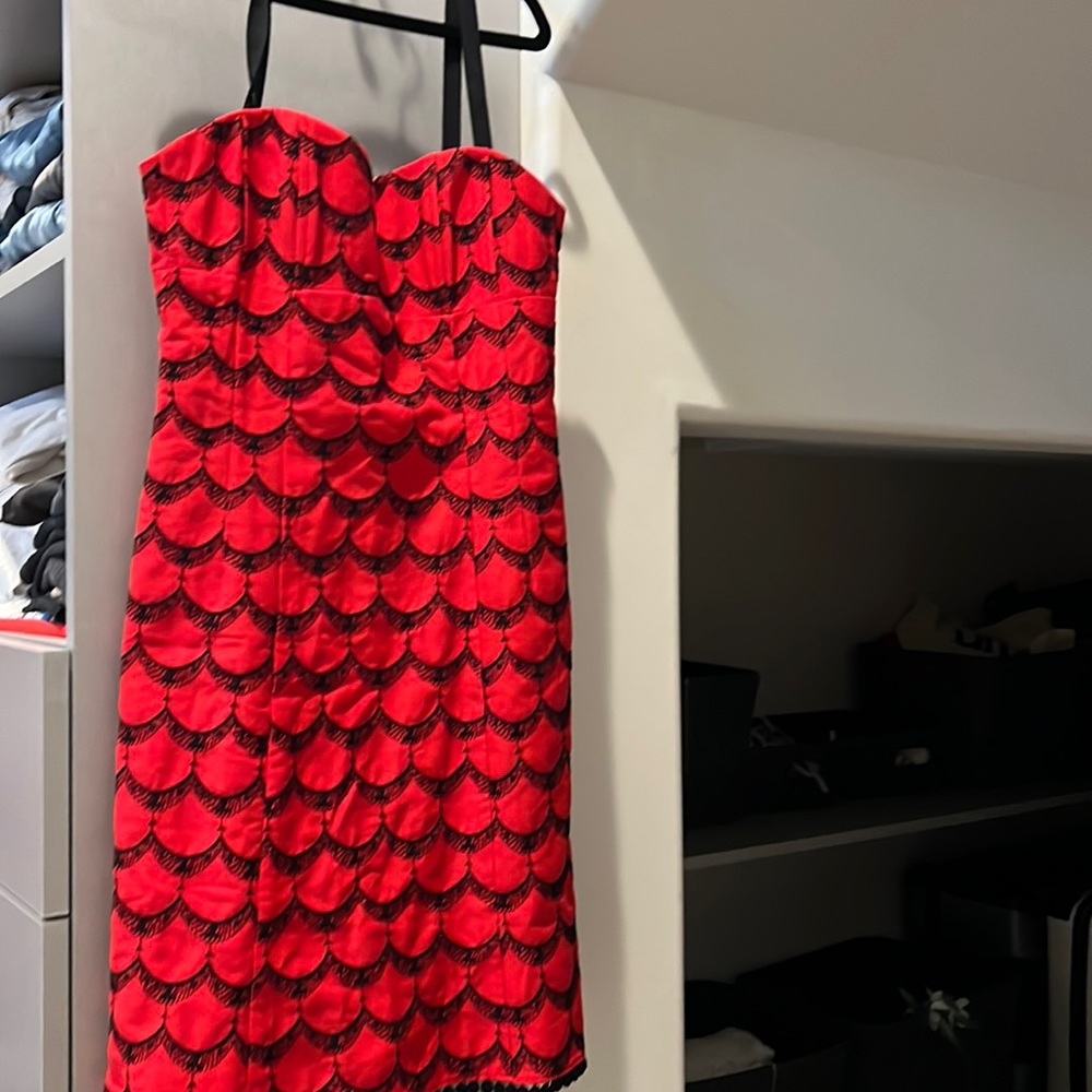 Red and Black dress